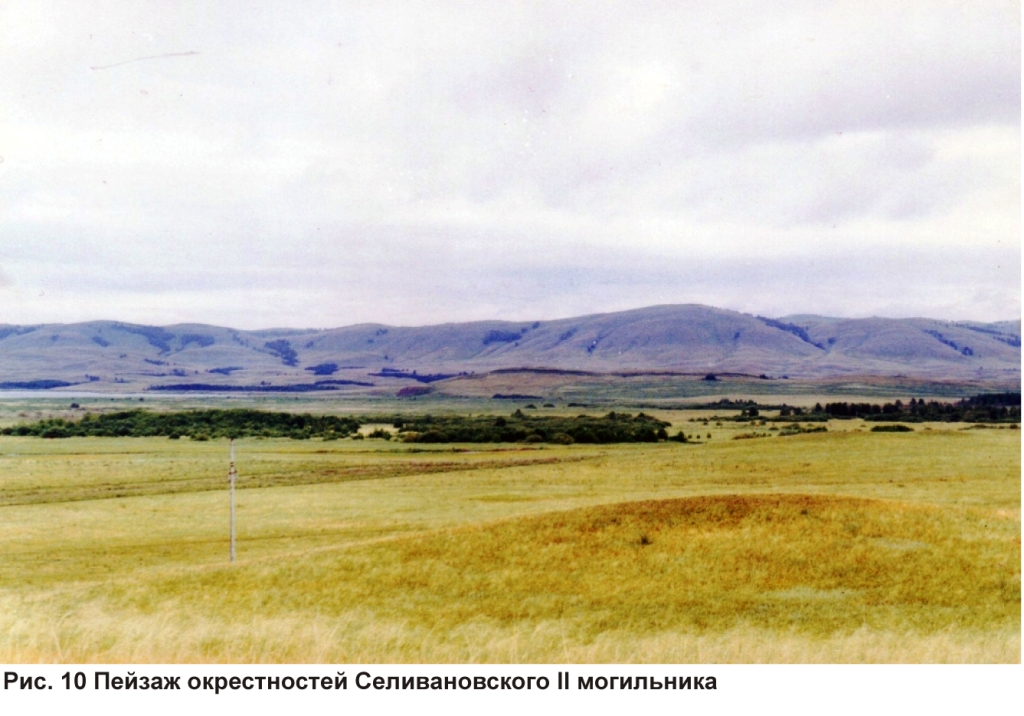 Рис. 10 Пейзаж окрестностей Селивановского II могильника